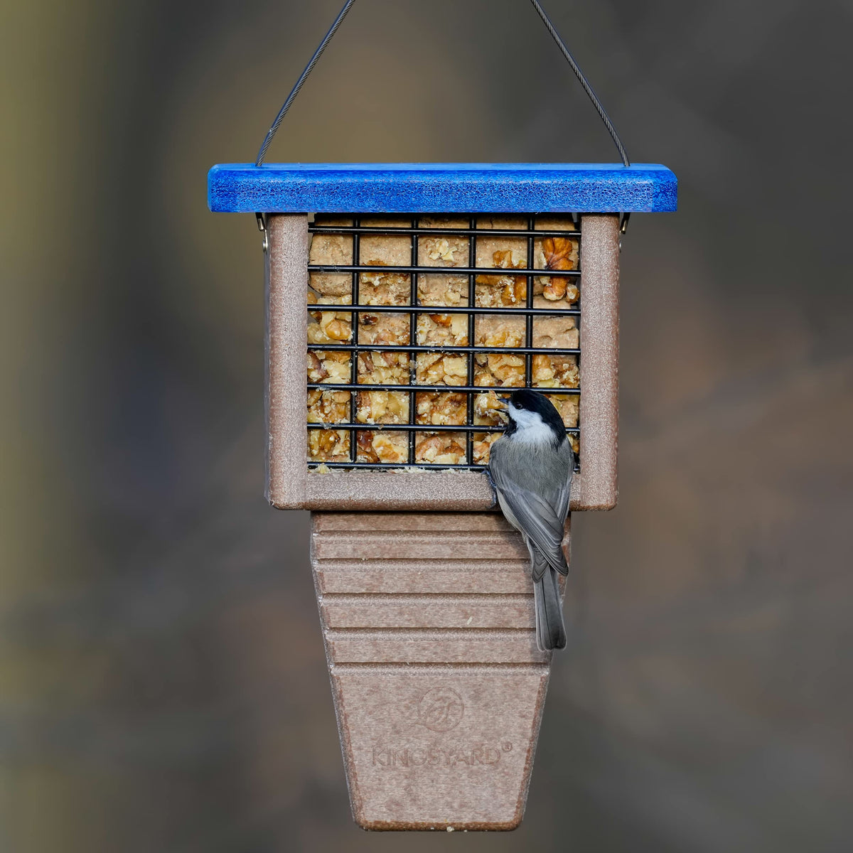 Kingsyard suet feeder durable plastic with water-resistant design