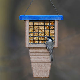 Kingsyard suet feeder durable plastic with water-resistant design