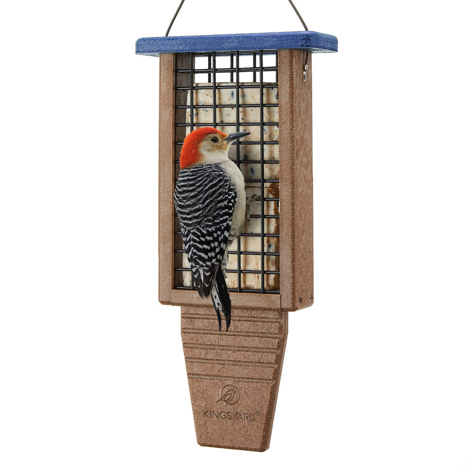 Kingsyard tail-pro suet feeder helps woodpeckers balance while feeding