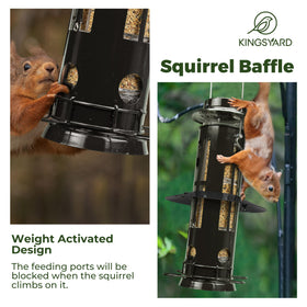 Kingsyard feeder with transparent seed chamber enables easy monitoring