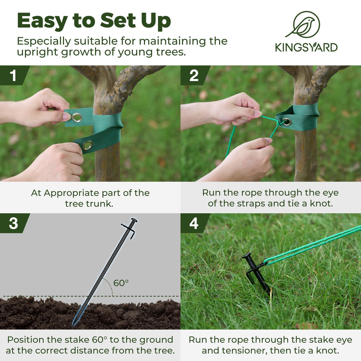 Kingsyard tree strap set, 6pcs, for stable upright growth.