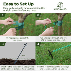 Kingsyard tree strap set, 6pcs, for stable upright growth.