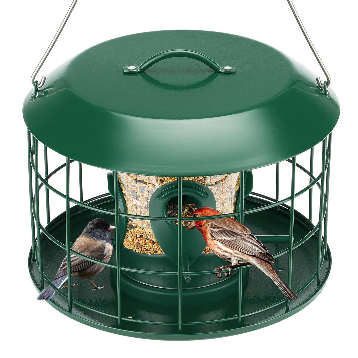 Kingsyard tube squirrel-proof bird feeder with four ports in action for small birds outdoors