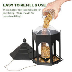Kingsyard vertical design facilitates smooth seed flow for uninterrupted visits.