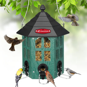 Kingsyard weatherproof bird feeder in green withstands rain for year round feeding.