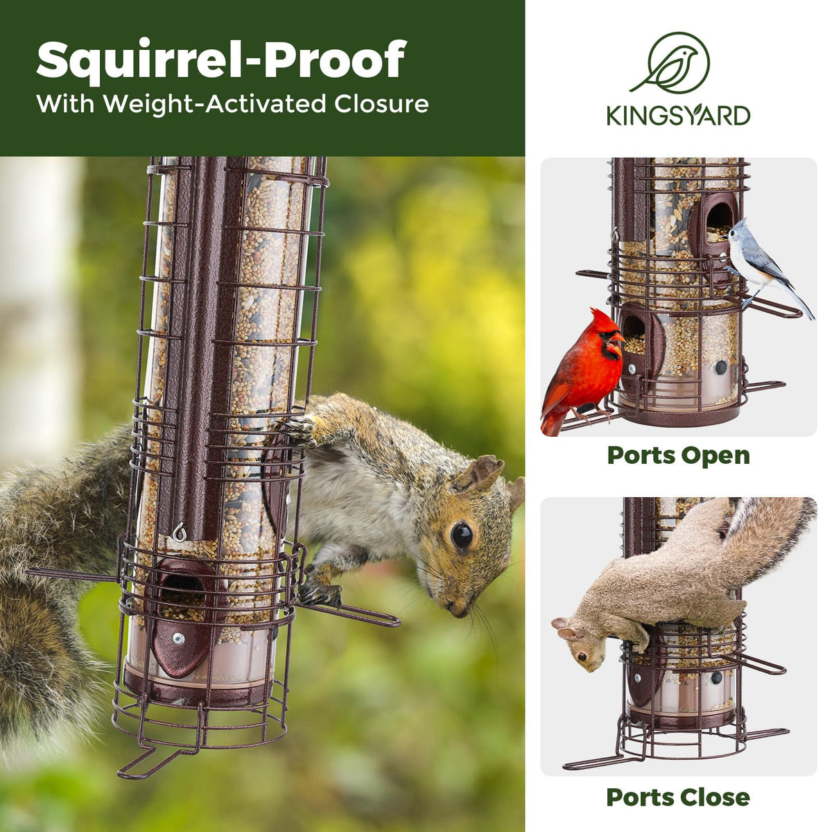 Close-up of weight-activated perch on Kingsyard feeder blocking squirrels.