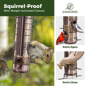 Close-up of weight-activated perch on Kingsyard feeder blocking squirrels.