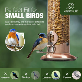 Kingsyard bluebird feeder showcasing the wide perch design for comfort.