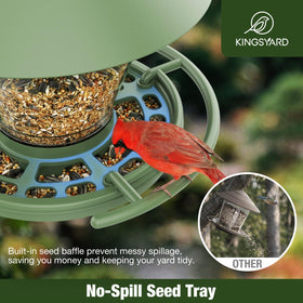 Kingsyard circular perch accommodates multiple birds feeding at once