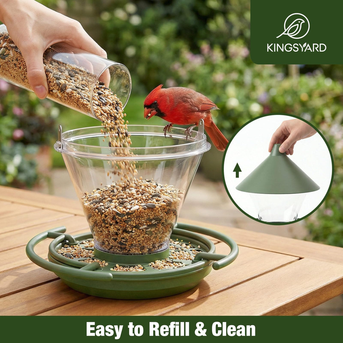 Kingsyard clear seed compartment shows fill level at a glance