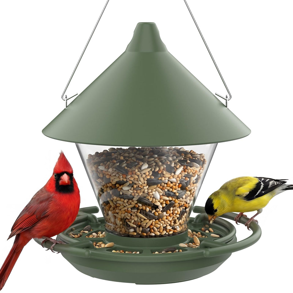 Kingsyard wild bird feeder outdoors hanging shows vibrant birds and mess-free feeding
