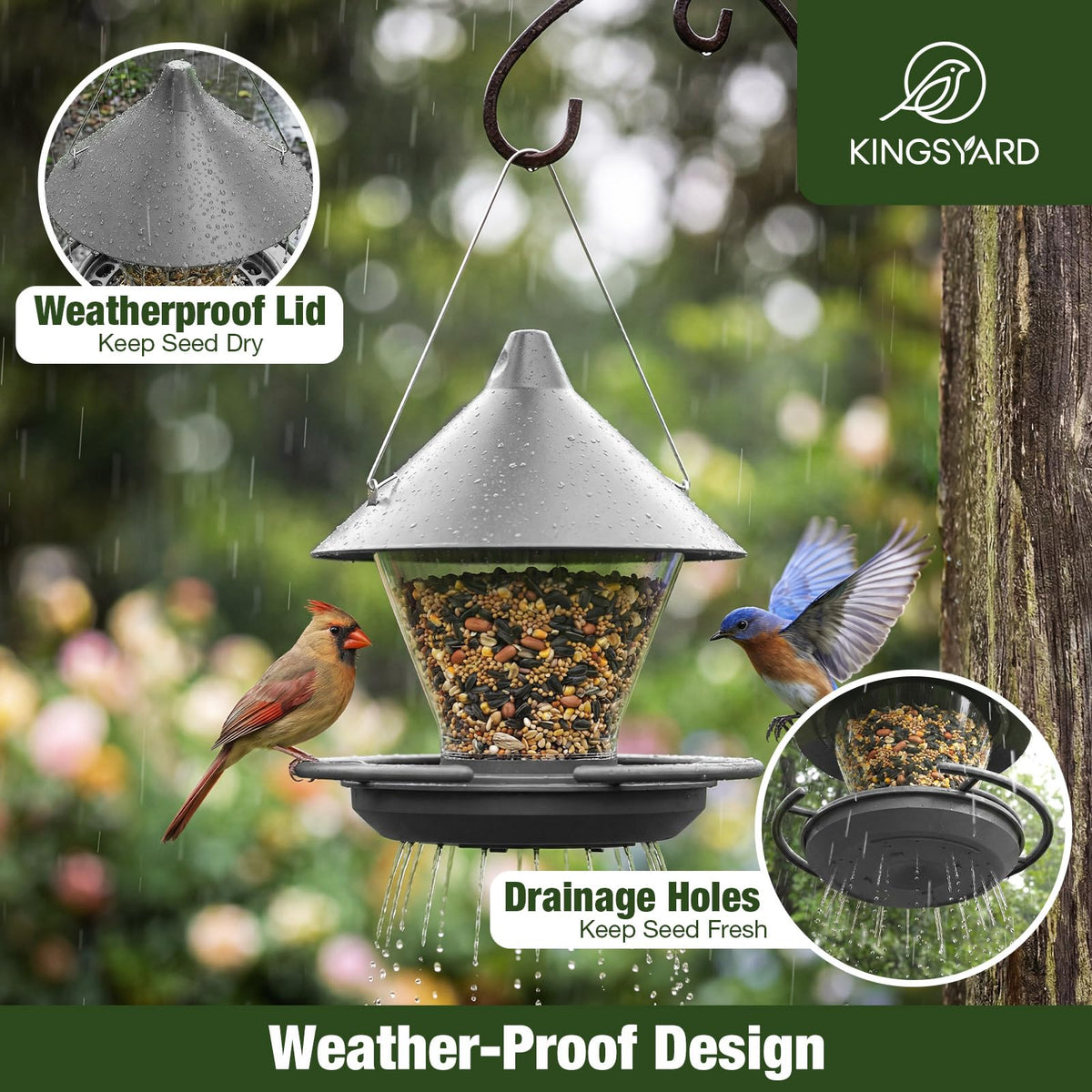 Kingsyard transparent seed compartment lets you check levels at a glance