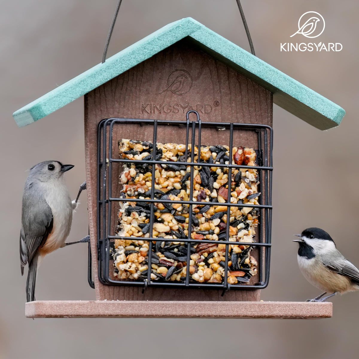 Kingsyard attracts woodpeckers, chickadees, and nuthatches to your outdoor space.