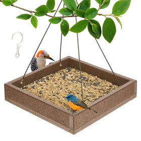 Kingsyard WPC platform bird feeder mounted outside attracts diverse birds year-round.