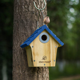 Kingsyard wren house with predator guard protects young birds during nesting.