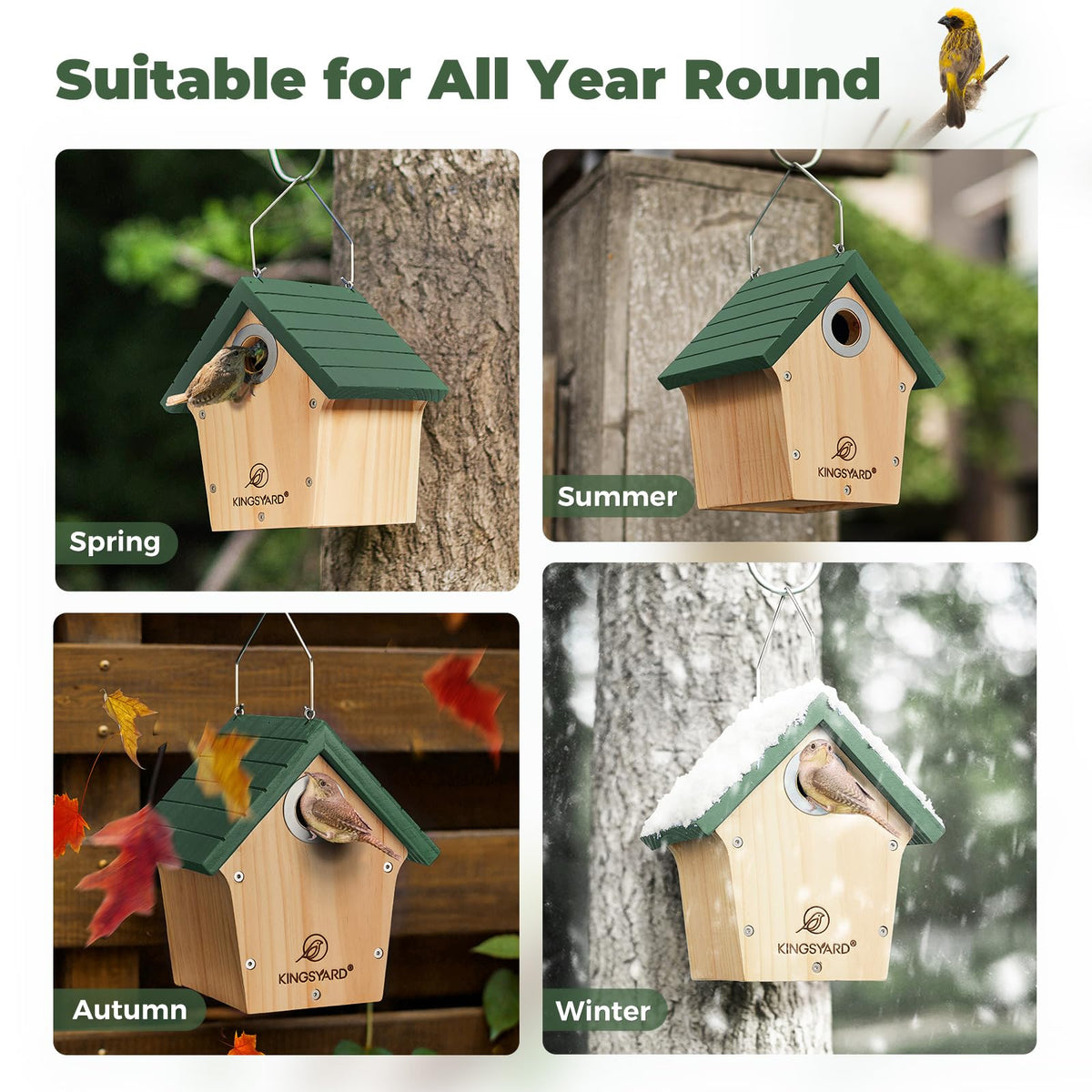Kingsyard wrens thrive in this garden-ready nest box.