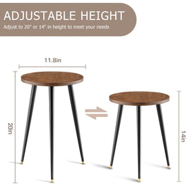 KINNARY walnut wood top stand showcases plants with a warm, natural finish
