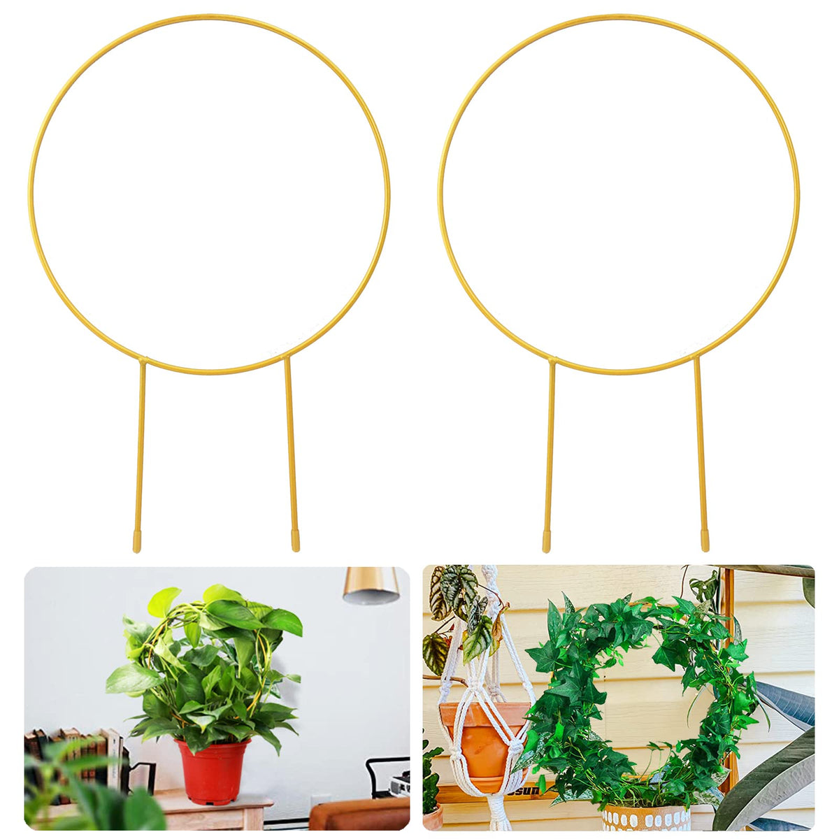 Kiouposy circle trellis gold enhances height and style for potted plants.