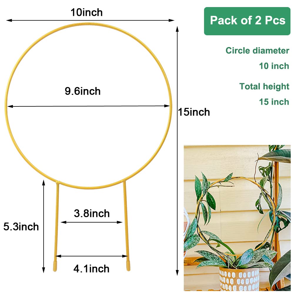 Kiouposy gold round trellis supports climbing vines with a chic indoor look.