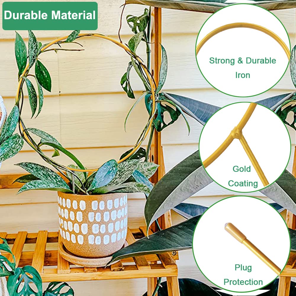 Gold metal trellis adds durability for indoor and outdoor plant setups.