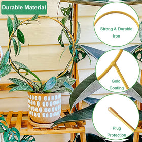 Gold metal trellis adds durability for indoor and outdoor plant setups.