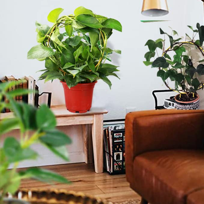 Small gold trellis fits compact pots and shelves with style.