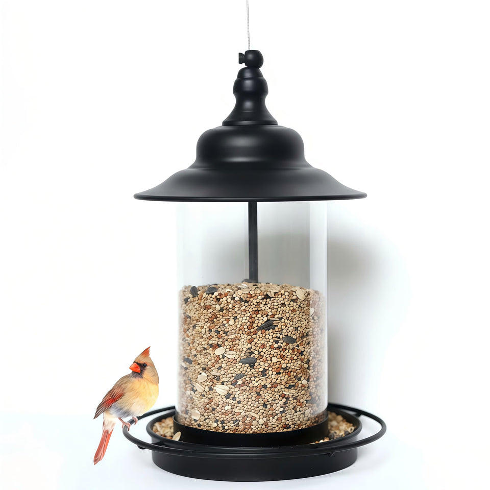 KiRuan Deco bird feeder outdoors with locked lid keeps seeds safe for birds