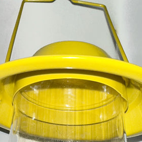 KiRuan Deco Finch Feeder attracting birds in a garden setting