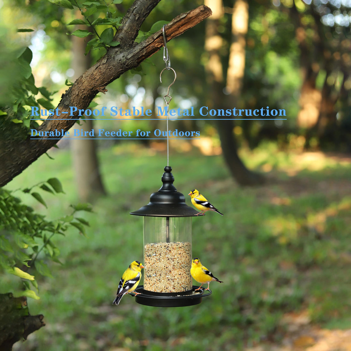 KiRuan Deco three feeding perches invite multiple birds to visit