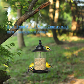 KiRuan Deco three feeding perches invite multiple birds to visit