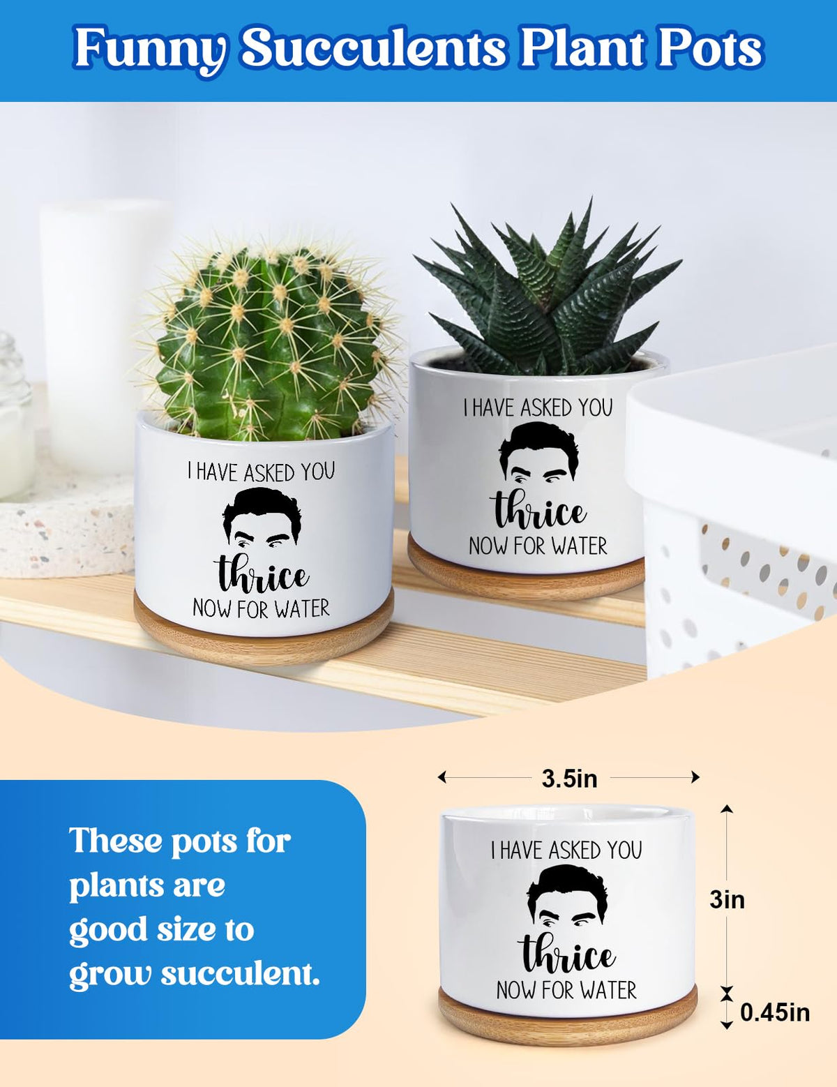 KISJO Funny plant pots on desk add charm to your workspace