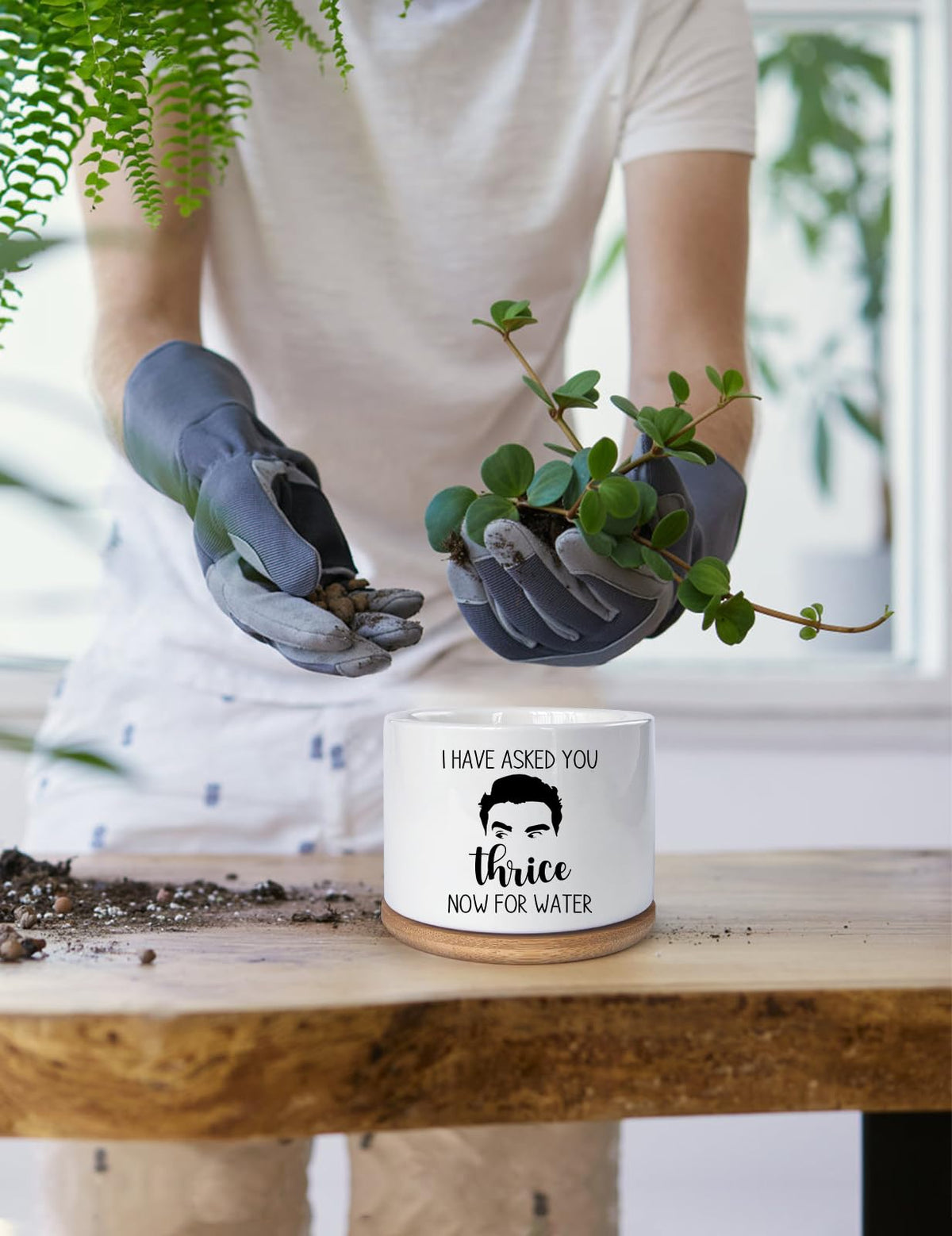 KISJO Plant pot with wooden tray for easy display