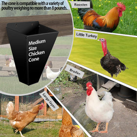 Kisotay chicken cone in use for handling larger birds safely