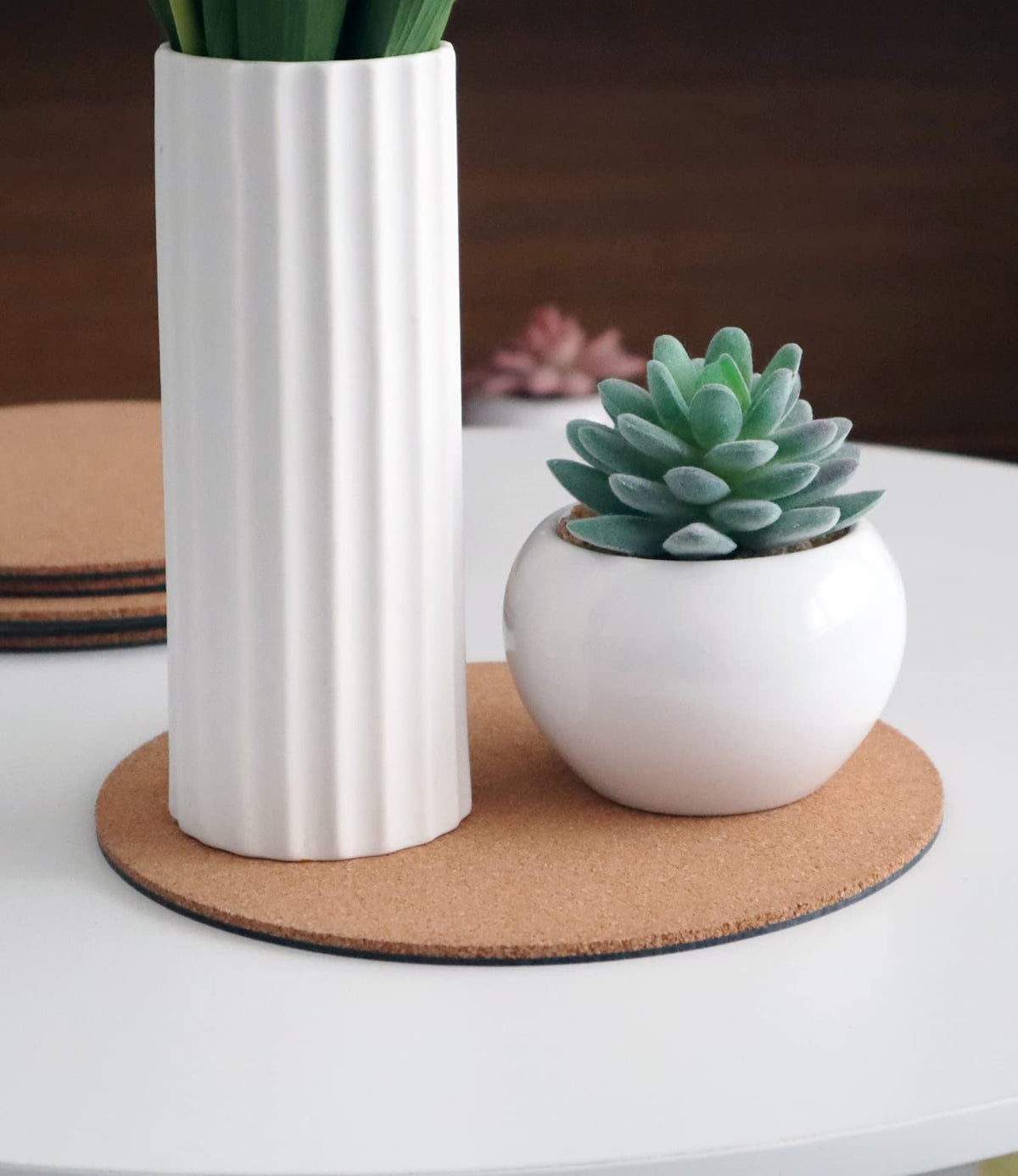 KITLAB cork planter coasters packaging image shows the complete 10-piece set