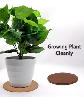 KITLAB four-piece cork coaster set ideal for plants and decor