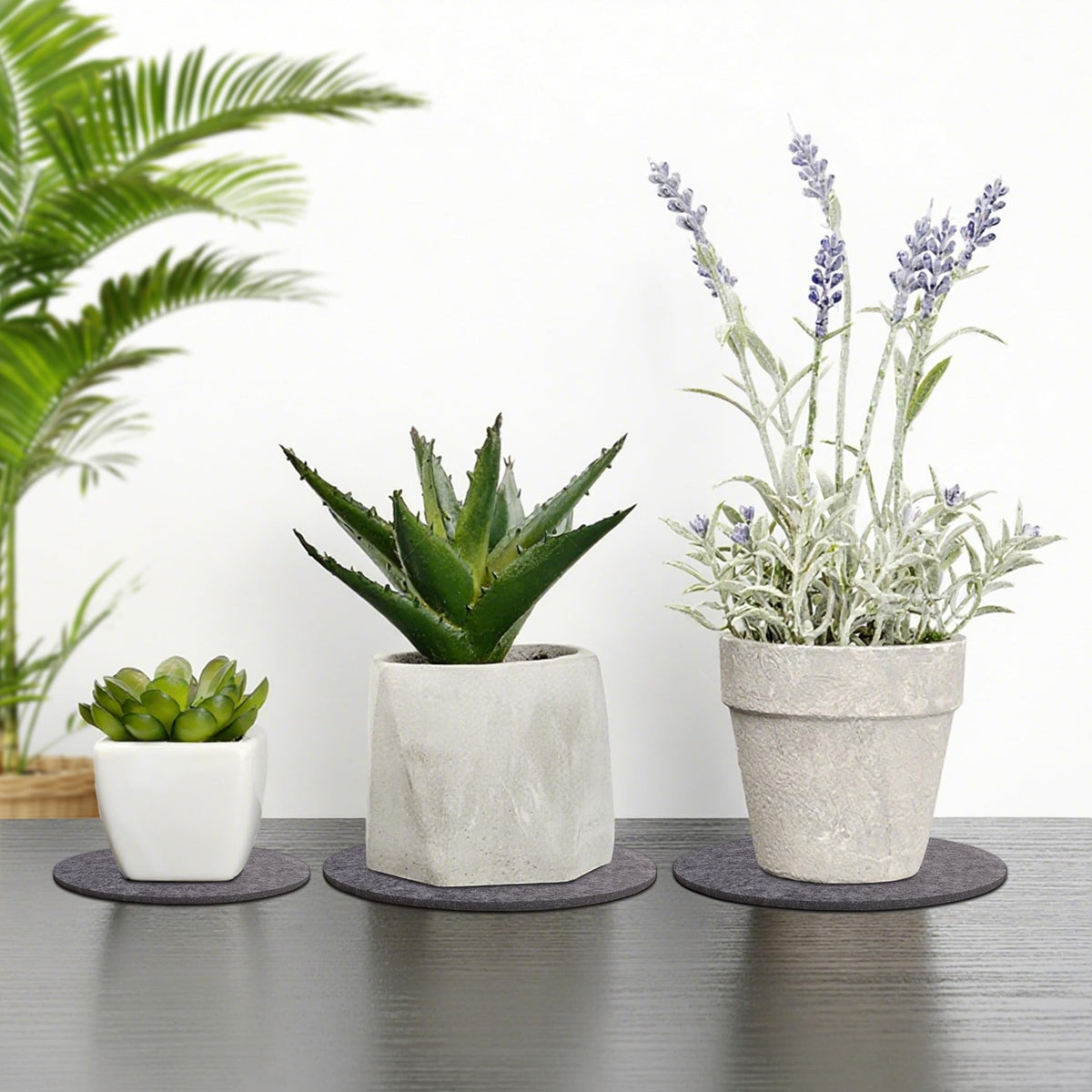 KITLAB eight-piece set stores easily in a cabinet