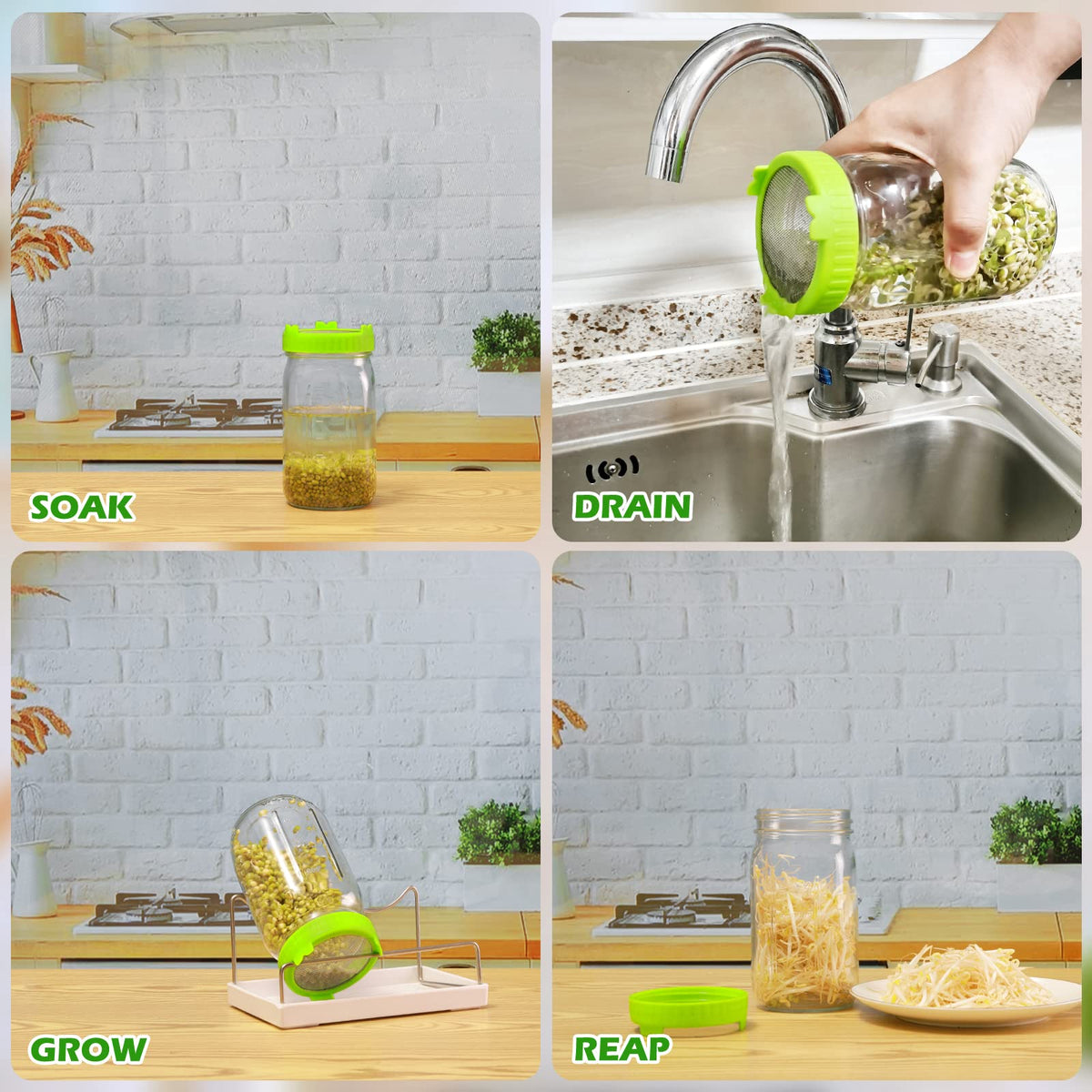 Kitmiido drip tray helps keep counters clean during sprouting
