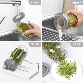 Kitmiido drip-tray-stand promotes drainage and airflow during sprouts.