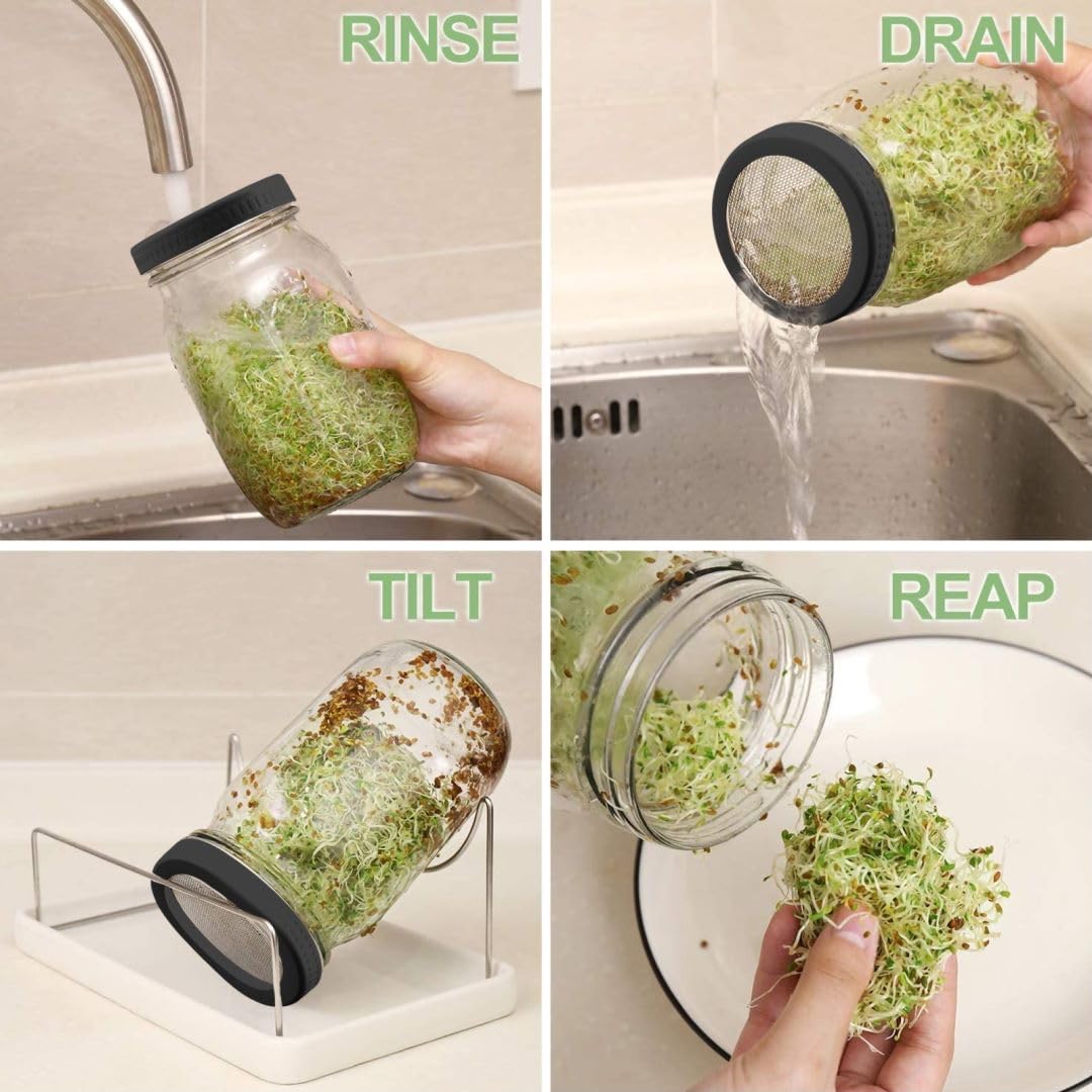 Kitmiido drip tray collects runoff during sprouting sessions