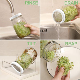 Kitmiido sprouting drip tray keeps surfaces clean and sprouts dry.