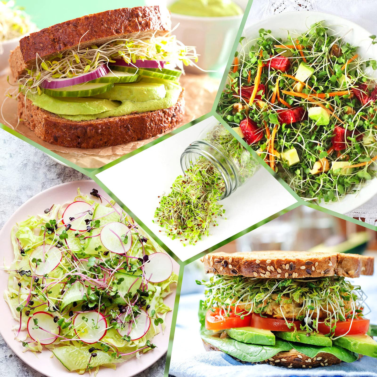 Kitmiido stainless steel mesh for versatile sprouting