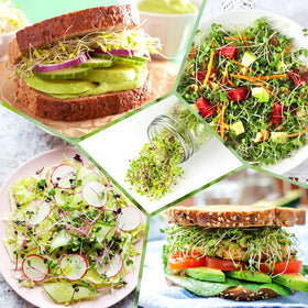 Kitmiido stainless steel mesh for versatile sprouting