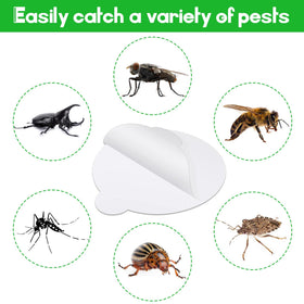 Kittmip 48-piece set provides ample replacements for ongoing insect control.