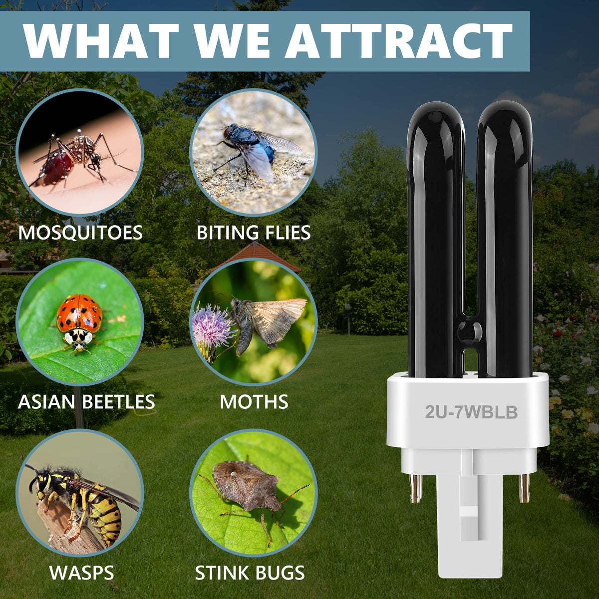 Kittmip mosquito-trap lamp tube for simple replacement.
