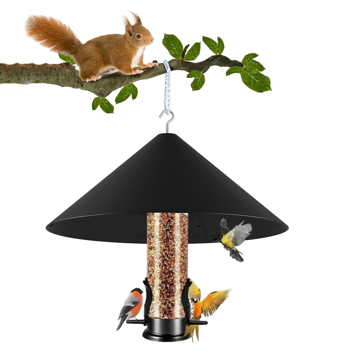 Kitvona 19-inch dome baffle protects feeders from squirrels, keeping birds undisturbed.
