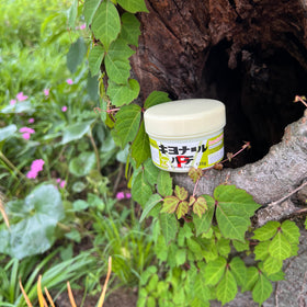 Kiyonal Bonsai Cut Paste 135g bonsai-maintenance keeps pruning wounds sealed during maintenance.