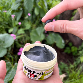 Kiyonal Bonsai Cut Paste 135g grafting-seal ideal for smooth graft junctions.