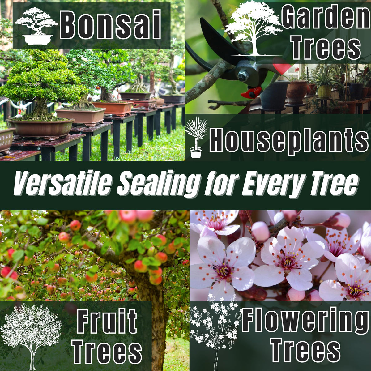 Kiyonal bonsai cut sealer from Japan aids long-lasting protection of pruning cuts.