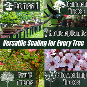 Kiyonal bonsai cut sealer from Japan aids long-lasting protection of pruning cuts.