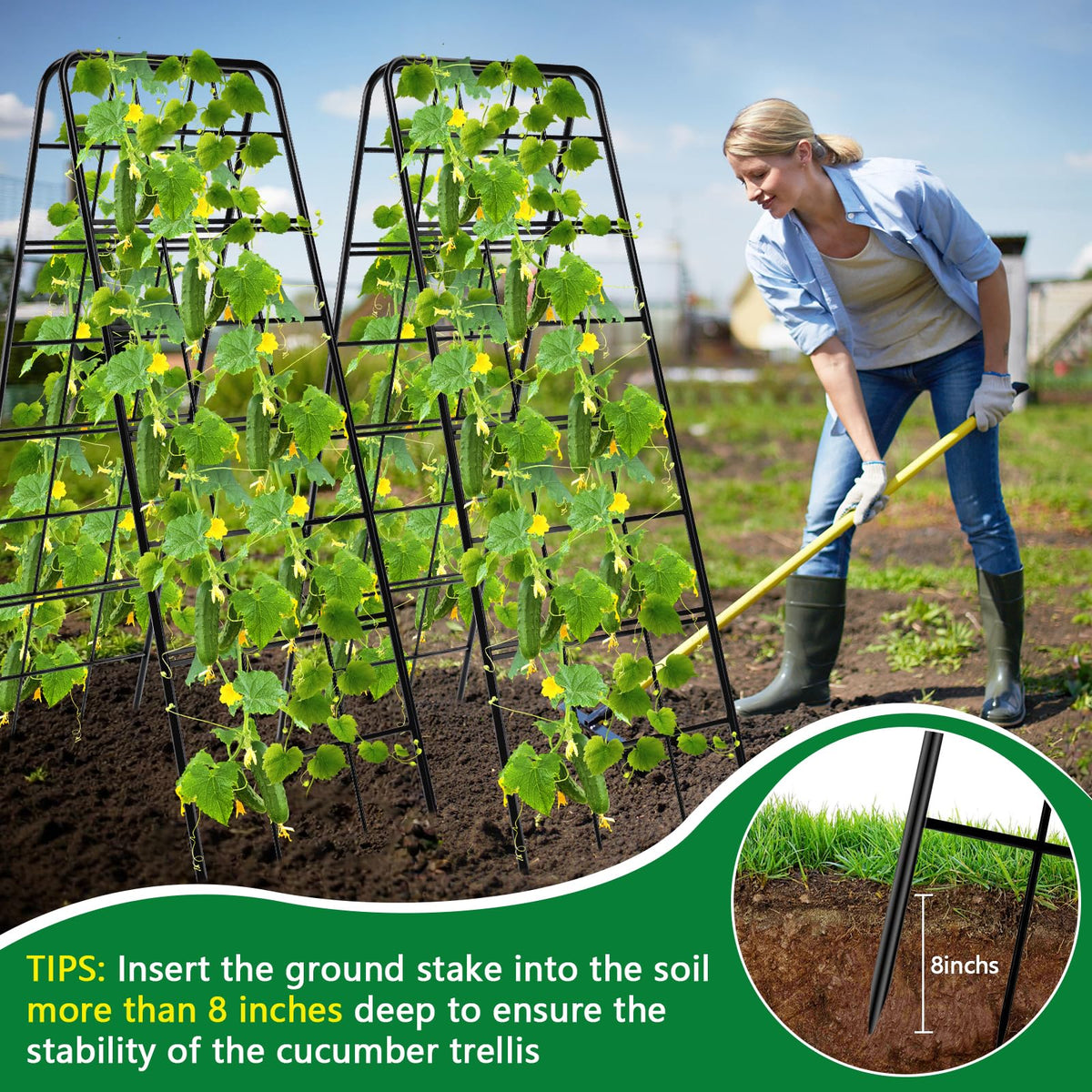 KJX trellis compatible with raised beds and containers for versatile growing